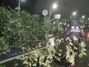 山竹图片搞笑大雨