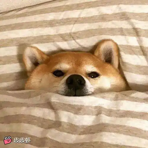 我的中考分数刚刚过高中线,我天津的,上职高还是普高  我的中考分数刚刚过高中线,我天津的,上职高还是普高