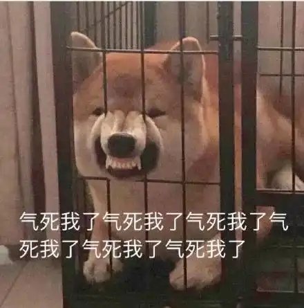  外国人花式作死合集很有病但真的很好笑哈哈哈哈哈哈