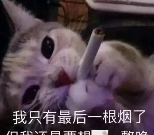 乖别怕表情包抽根烟