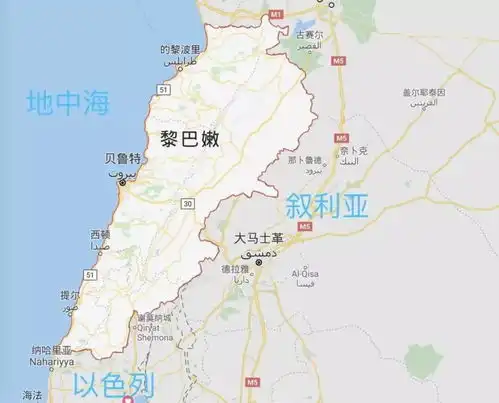  你不知道的真相黎巴嫩总理称停火后将向利塔尼河以南派遣驻军是啥意思