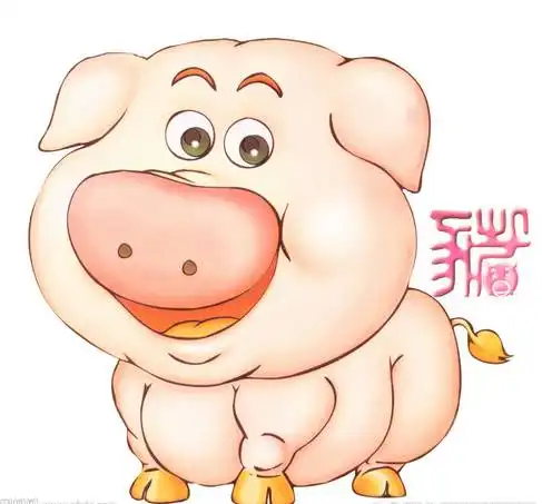  两头猪的真爱,看完我哭了