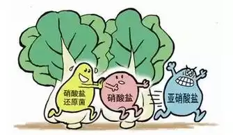  话食科普︳解答一些大家都关心的水耕蔬菜疑问