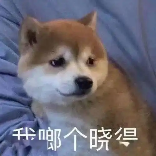 套路表情包一套猪开心一