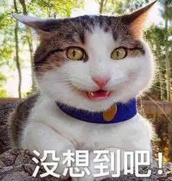  四六级翻译作文,哈哈哈哈哈哈