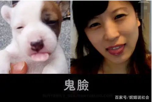  gif搞笑图美女半夜马路边做坏事,真让人意想不到