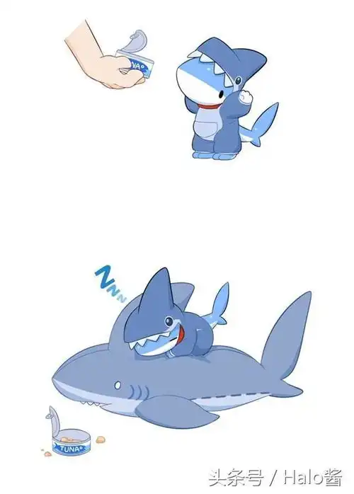 鲨鱼也能卖萌韩国漫画师画出比狗狗还爱撒娇的小鲨鱼生活日常  鲨鱼也能卖萌韩国漫画师画出比狗狗还爱撒娇的小鲨鱼生活日常