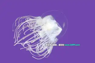  如何巧用ps通道工具抠出透明水母
