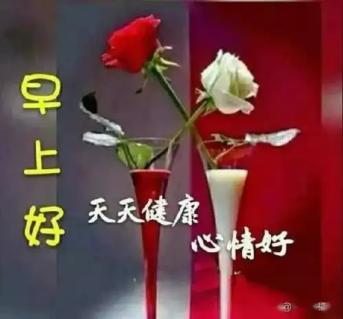  有些伤口,时间久了就会慢慢长好有些委屈,想通了也就释然了
