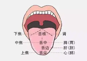  孩子的舌头上有类似草莓的点点红是怎么回事