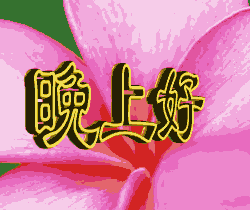  微信晚安动态图片分享晚安动态图片祝福语