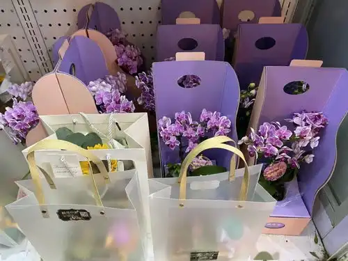  教师节临近,鲜花盆栽预订火热