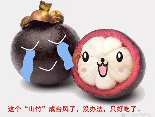  台风的坚强