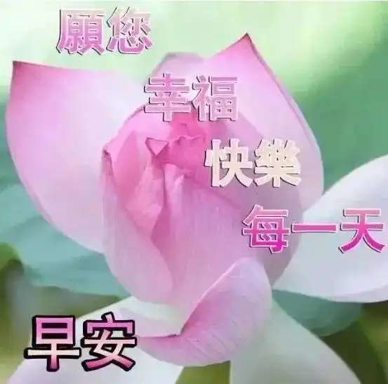  2021最新版早晨问候心语图片大全朋友们早上问好句子动态表情