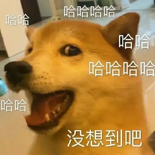 快乐到飞起来的沙雕文案