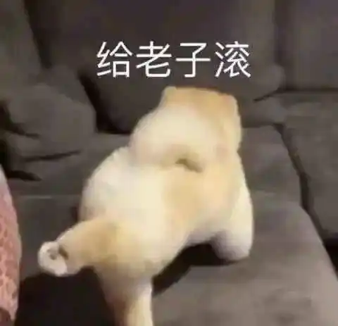  热门沙雕表情包能给我发20块钱红包买个月饼吗
