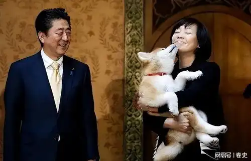  被安倍晋三宠了30多年的妻子,每次墓前祭拜都笑容灿烂,活得潇洒