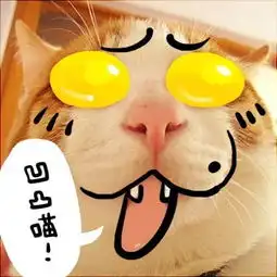  卖萌无罪,喵星人被玩坏啦