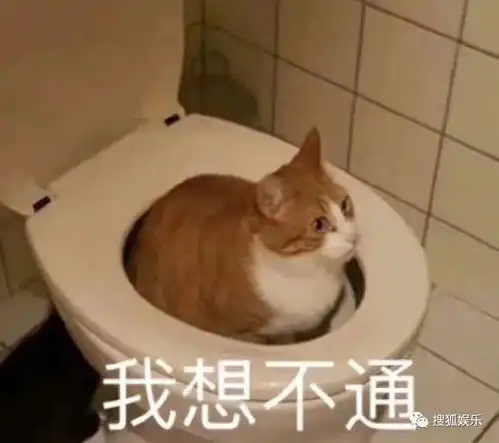  娱乐日报陈小纭旧照曝光认不出张雨绮力挺鹿晗公开恋情吴倩张雨剑被偶遇