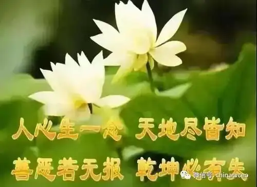  民间瞎子失传的算命口诀,真的太准了,建议收藏