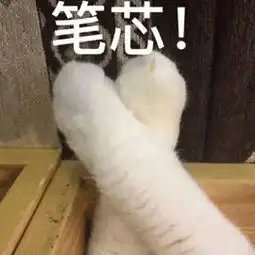  号外号外近期出现猪瘟你听说了没