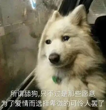 表情包谁舔狗