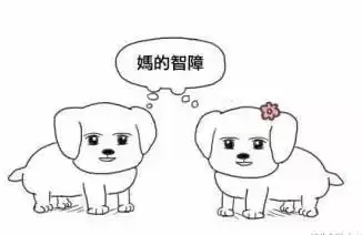  最新幽默笑话大全,搞笑段子大全,搞笑动态图片大全第20588页别逗了笑话网