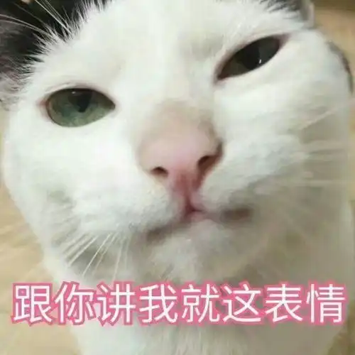 全是我的错表情包猫咪