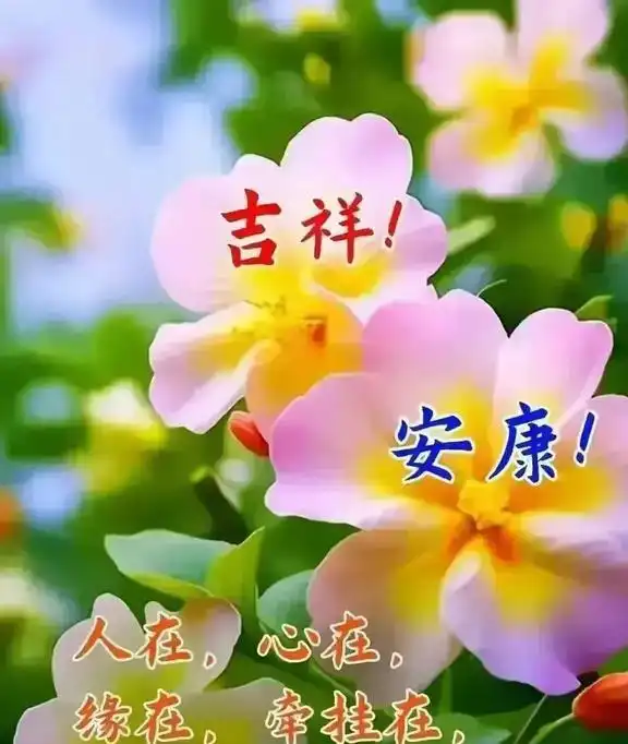  最温馨的早安问候语早安祝福图,送给我最在乎的人