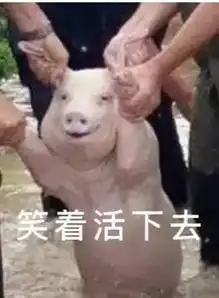  上班族花8000块钱买个教训,真太值了