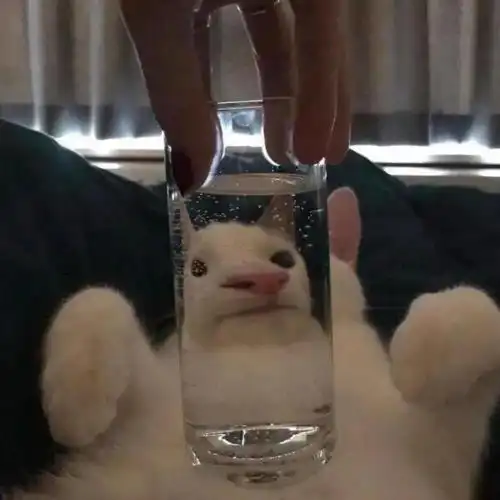  不懂这么好看的头像怎么现在才发