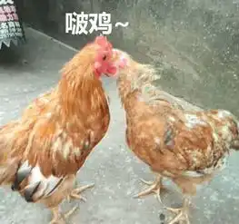  图说年假将尽,鸡年大吉了吗