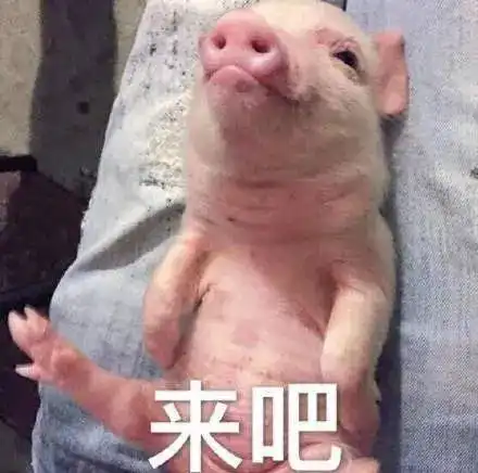  入秋第一件大事买外套