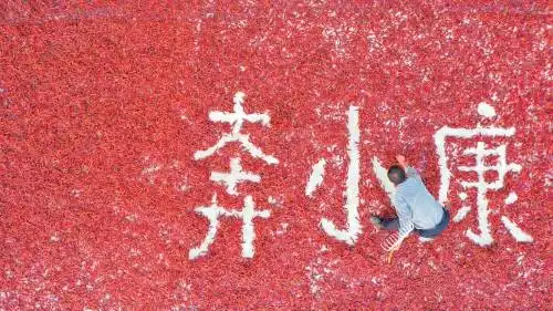 农民日报整版聚焦贵州黔山秀水绘新景乡村振兴开新局  农民日报整版聚焦贵州黔山秀水绘新景乡村振兴开新局