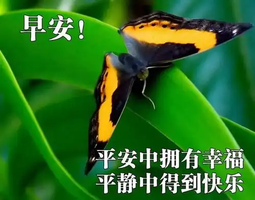  2021年精选早安祝福,带字祝福图片