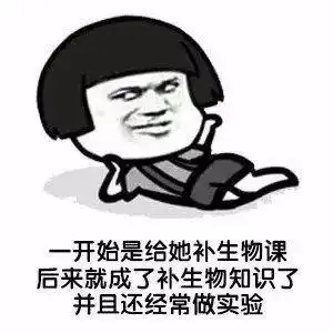  说带我打王者结果我到现在还是青铜
