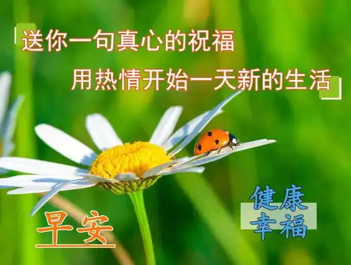 风景早安问候图片
