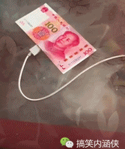  搞笑gif趣图这年头动物没点才艺,都不好意思上镜呢