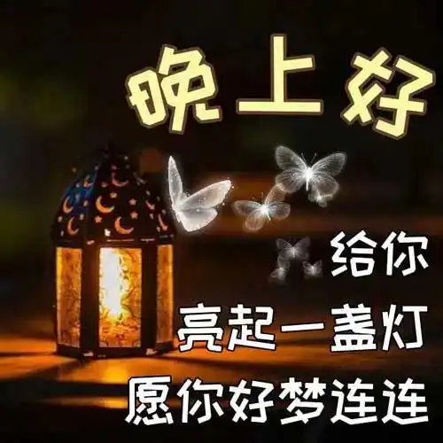  晚上好图片大全,晚上好温馨问候,晚安祝福语