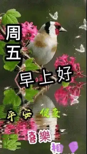  9月25日周五清晨早上好问候祝福动态表情图片9月最新早安问候祝福图片带字温馨