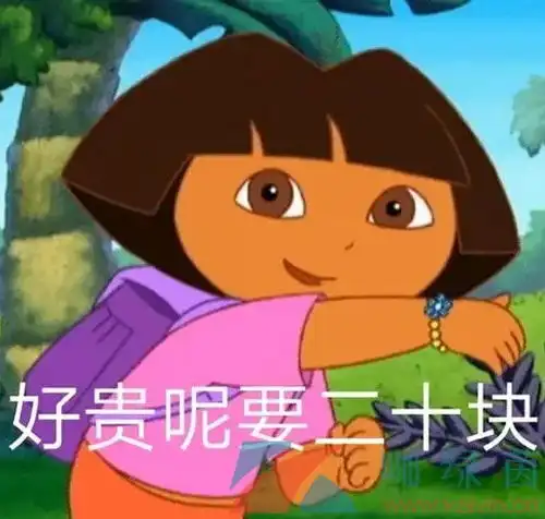 盲人朵拉的表情包有哪些盲人朵拉表情包大全分享咖绿茵手游站  盲人朵拉的表情包有哪些盲人朵拉表情包大全分享咖绿茵手游站