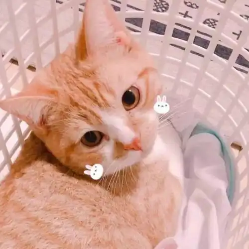 秒杀躺一小时就变美郑州这家北欧风的一站式变美基地,帮你从头美到脚  秒杀躺一小时就变美郑州这家北欧风的一站式变美基地,帮你从头美到脚