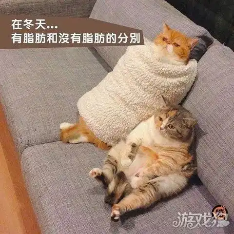  趣图这真的是一个悲伤的故事