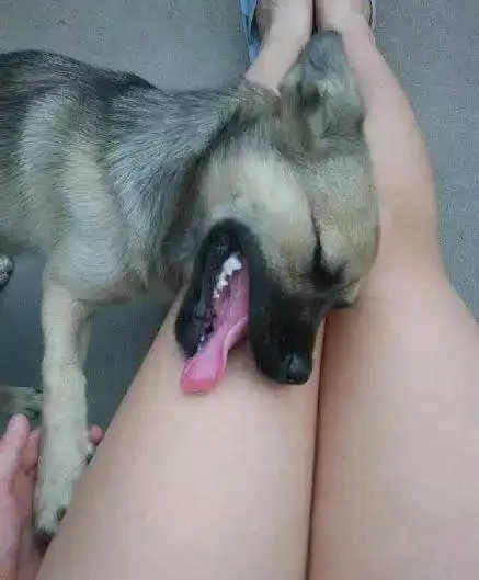 搞笑图片宝宝好可爱啊,好想抱抱他妈妈  搞笑图片宝宝好可爱啊,好想抱抱他妈妈