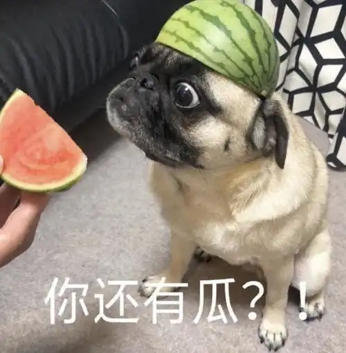 市民吐槽西瓜快要吃不起了