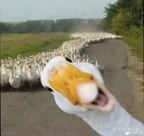  我突然对任何事情不感兴趣了,如何打发时间过以后的日子呢