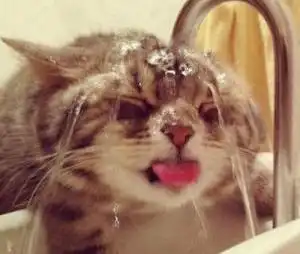  夏天饮水注意啥