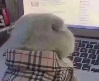  开工大吉预防节后综合征看这里