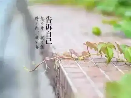  其实触动人心的东西,往往是最平凡中的不离不弃,早安