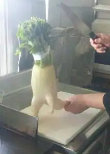  奔跑的萝卜爆红网络植物也能如此搞笑